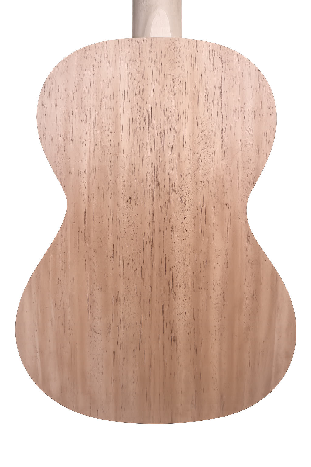 Back of a blank Butterfly Uke